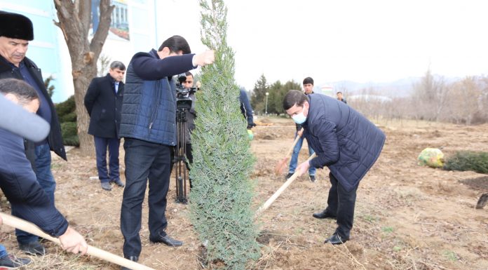 МАЪРАКАИ НИҲОЛШИНОНӢ