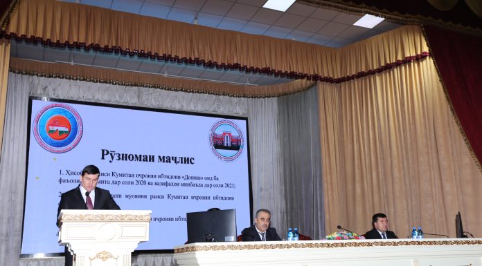 ҲИСОБОТИ СОЛОНАИ КУМИТАИ ИҶРОИЯИ ИБТИДОИИ “ДОНИШ”