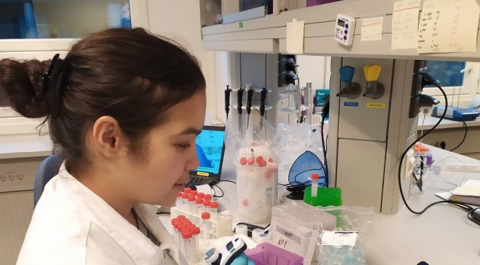 ТАКМИЛИ ДОНИШ