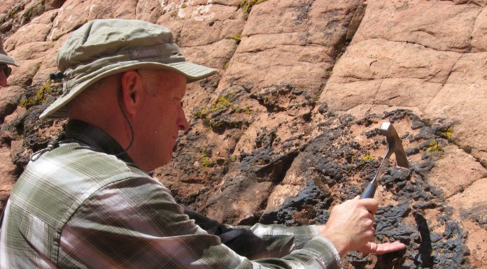 РУШДИ СОҲАИ ГЕОЛОГИЯИ ТОҶИК ВА ИСТИҚЛОЛИЯТИ ДАВЛАТӢ