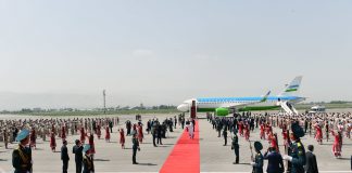 ДАРАХТИ ДӮСТӢ…