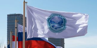 ПРОБЛЕМЫ И ПЕРСПЕКТИВЫ РАЗВИТИЯ ГУМАНИТАРНОГО СОТРУДНИЧЕСТВА В РАМКАХ ШОС (ВЗГЛЯД ИЗ ДУШАНБЕ)