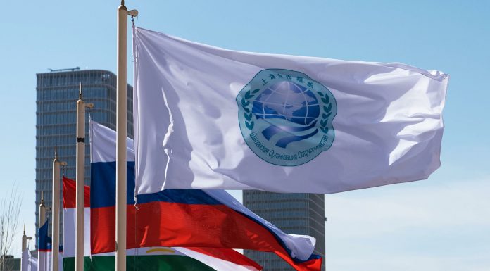 ПРОБЛЕМЫ И ПЕРСПЕКТИВЫ РАЗВИТИЯ ГУМАНИТАРНОГО СОТРУДНИЧЕСТВА В РАМКАХ ШОС (ВЗГЛЯД ИЗ ДУШАНБЕ)