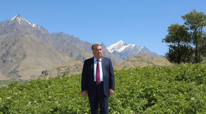 ЧОР МАРҲИЛАИ РУШДИ ҚОНУНГУЗОРИИ САЙЁҲӢ ДАР ДАВРАИ ИСТИҚЛОЛИЯТ