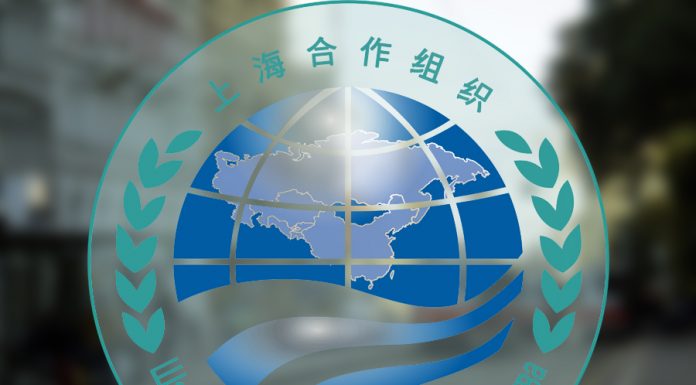 СТРАТЕГИЯ ШОС ПО ФОРМИРОВАНИЮ И УКРЕПЛЕНИЮ СТАБИЛЬНОСТИ В ЦЕНТРАЛЬНОЙ АЗИИ