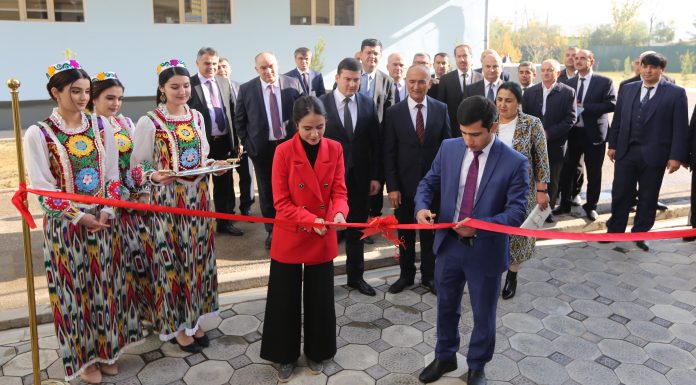 Grand opening of the complex of household services