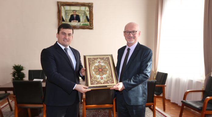 Cooperating in the field of education and language