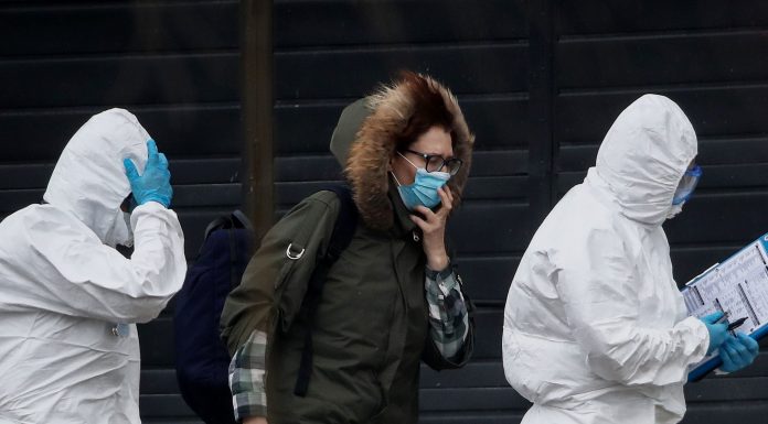 Сюжетные гранты по экологическому восстановлению после пандемии Covid-19