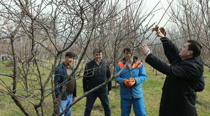 ШАНБЕГИИ УМУМИДОНИШГОҲӢ