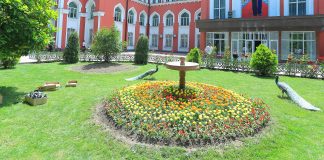 ҶАРАЁНИ КОРҲОИ ЗЕБОИПАРАСТӢ ДАР ДОНИШГОҲ