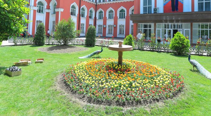 ҶАРАЁНИ КОРҲОИ ЗЕБОИПАРАСТӢ ДАР ДОНИШГОҲ