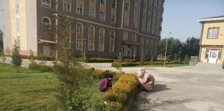 ФОРАМСОЗӢ ДАР ХОБГОҲҲО