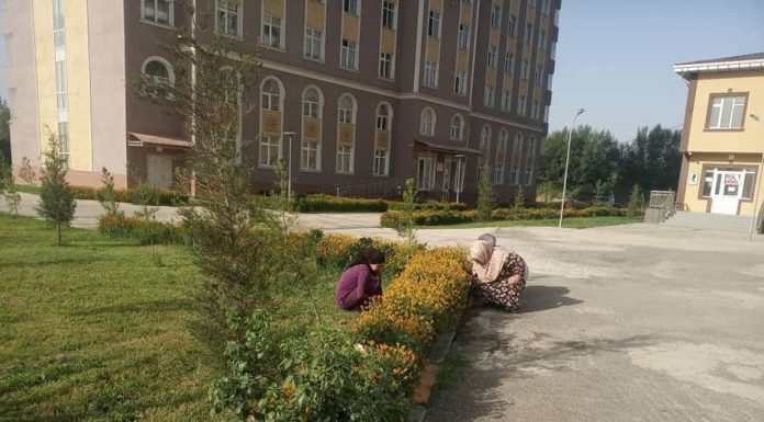 ФОРАМСОЗӢ ДАР ХОБГОҲҲО