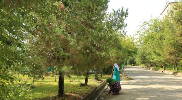 ОБОДКОРИҲО ДАР ШАҲРАКИ ДОНИШҶӮЁН