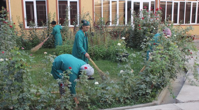 ШАНБЕГӢ ДАР ҲУДУДИ БИНОҲОИ МАРКАЗӢ