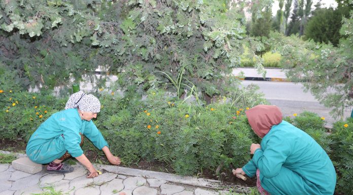 Шанбегии донишгоҳӣ