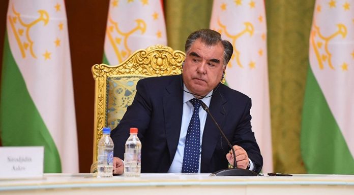 НАҚШИ ПРЕЗИДЕНТИ КИШВАР ДАР БУНЁДИ ДАВЛАТИ ДЕМОКРАТӢ ВА ДАВЛАТДОРИИ МИЛЛӢ