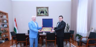 Встреча с директором Владимирского филиала РАНХиГС при Президенте РФ