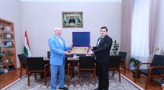 Встреча с директором Владимирского филиала РАНХиГС при Президенте РФ