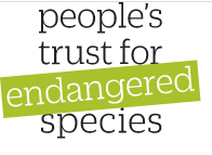 Conservation Insight Grants 2023 года