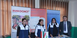 ТАВАҶҶУҲ БА РАСТАНИҲОИ ДОРУГӢ БЕШТАР МЕГАРДАД…