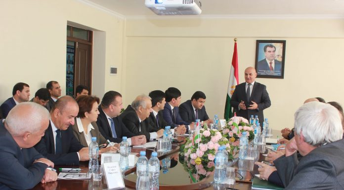 ФАРМАЦЕВТИЧЕСКИЙ РЫНОК ТАДЖИКИСТАНА: ПРОБЛЕМЫ И ПЕРСПЕКТИВЫ