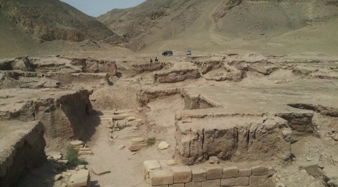 Озмуни умумидонишгоҳӣ.