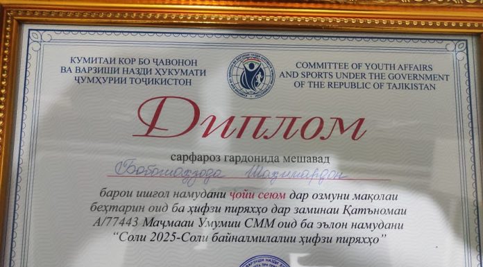 НАГРАЖДЕНИЯ ПОБЕДИТЕЛЕЙ НА ЛУЧШУЮ СТАТЬЮ