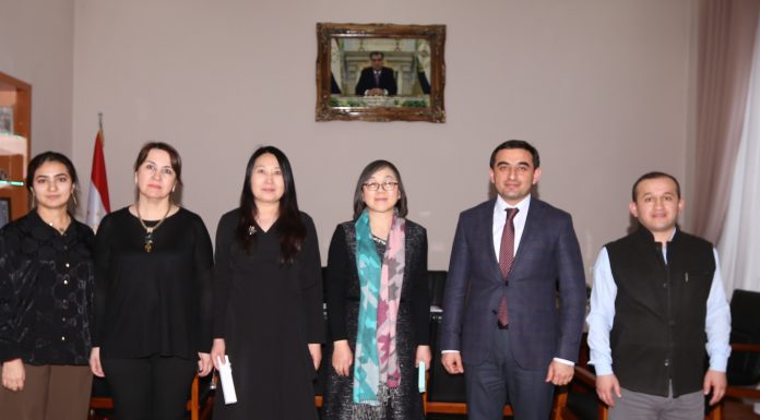 ВСТРЕЧА С ЗАМЕСТИТЕЛЕМ ДИРЕКТОРА ИНСТИТУТА ЕВРОПЫ, РОССИИ И ЦЕНТРАЛЬНОЙ АЗИИ КИТАЙСКОЙ АКАДЕМИИ НАУК