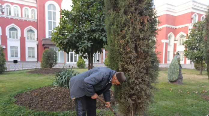 ШАНБЕГИИ ДАСТАҶАМЪОНА ДАР ДОНИШГОҲ