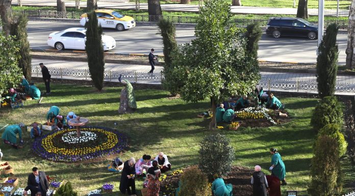 БАЛАНД БАРДОШТАНИ ҲИССИ ЗЕБОПАРАСТӢ