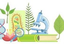 Обьявления. Международная студенческая интернет-олимпиада по биологии