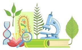 Обьявления. Международная студенческая интернет-олимпиада по биологии