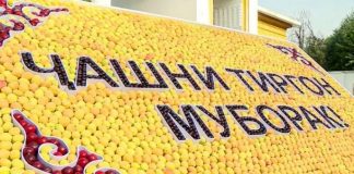 ҶАШНИ ТИРГОН