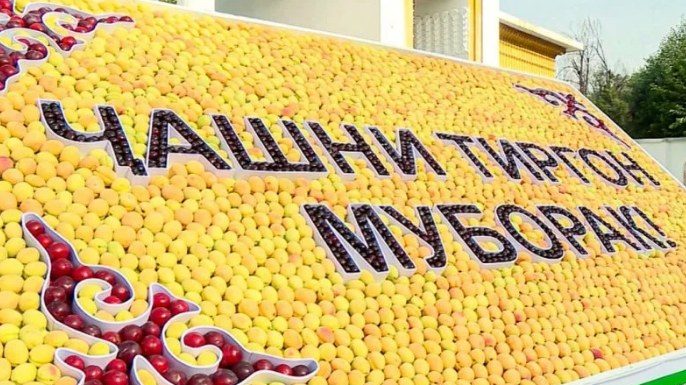 ҶАШНИ ТИРГОН