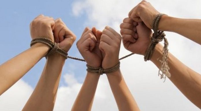 ПЕШГИРИИ САВДОИ ОДАМОН – ВАЗИФАИ МУҲИМИ ҶОМЕА